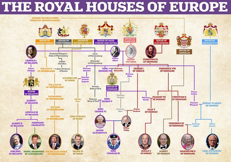 Learn about royalstiger Deutschland